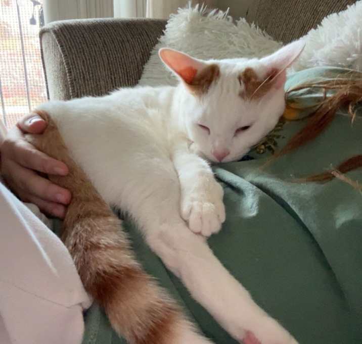 Photo of Bug