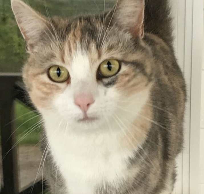 Photo of Lydia