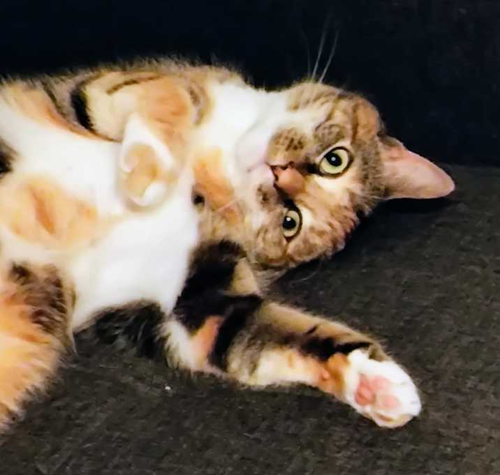Photo of Nani