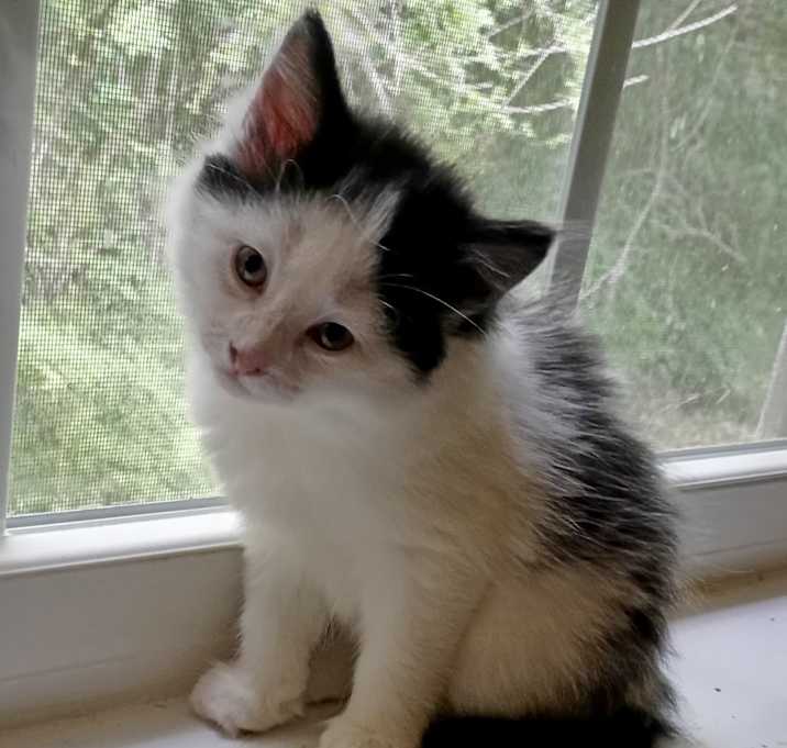 Photo of Baby Luigi
