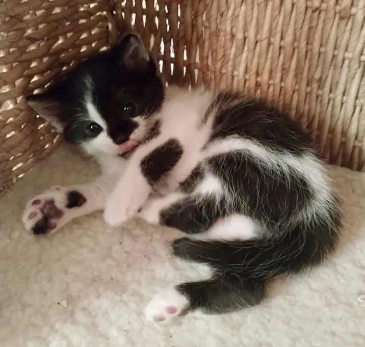 Photo of Baby Carlos