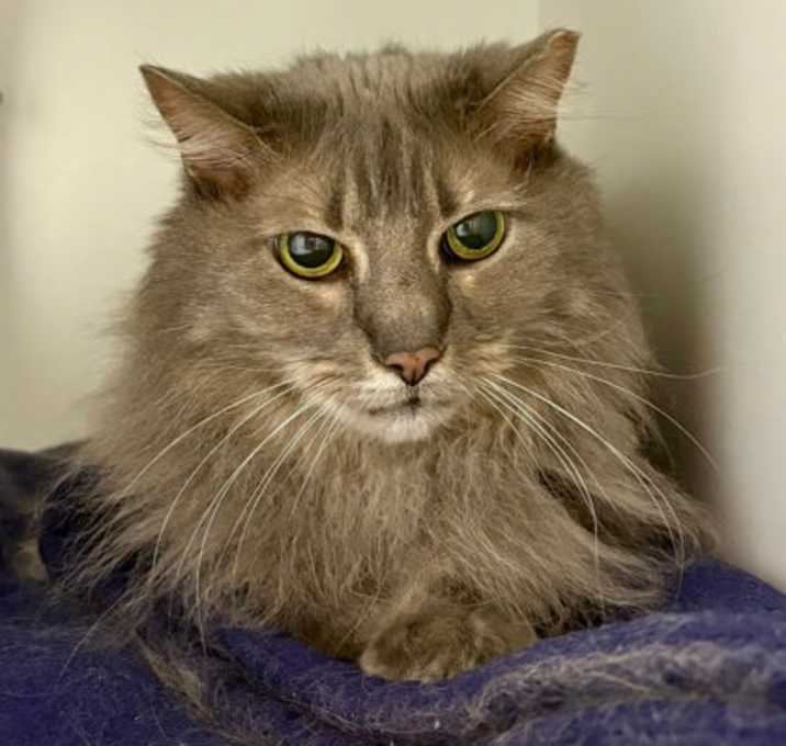 Photo of Itsy