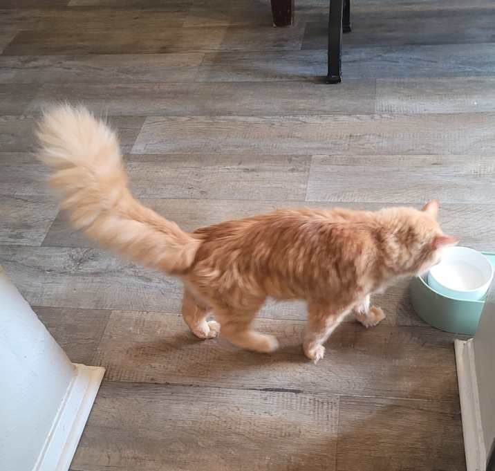 Photo of Maxine