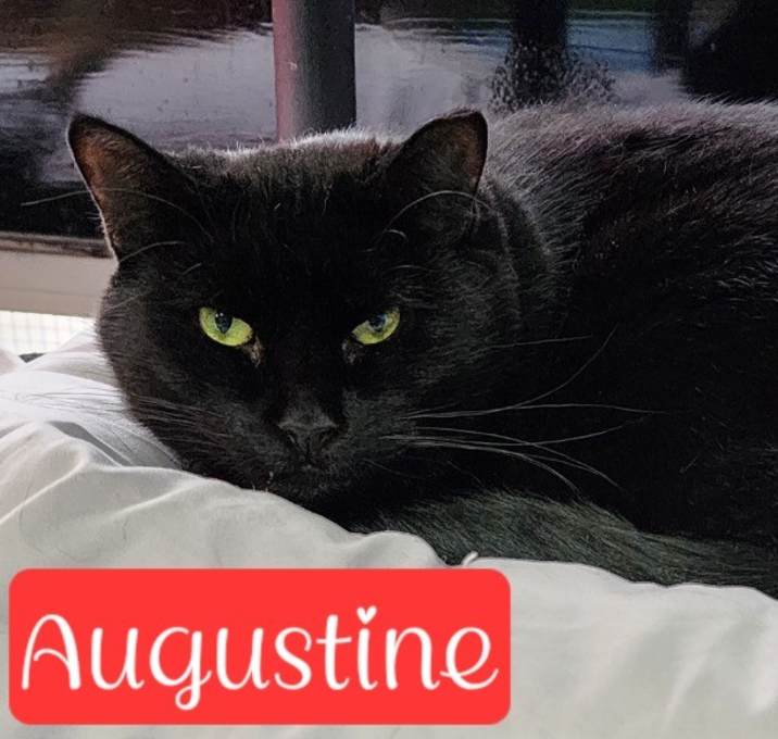 Photo of Augustine