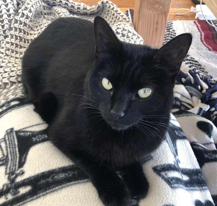 Photo of Sombra