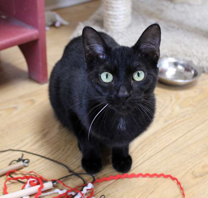 Photo of Jet