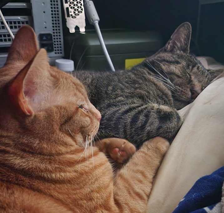 Photo of Gary and Milo