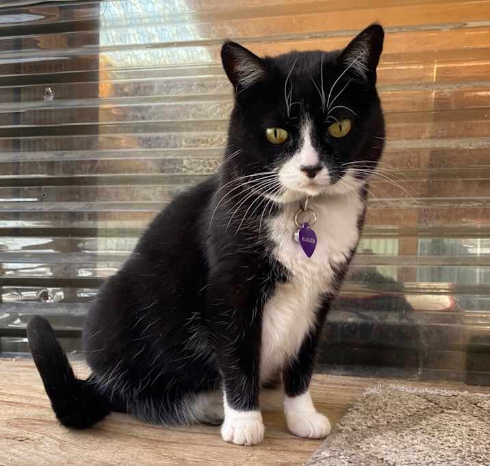 Photo of Millie