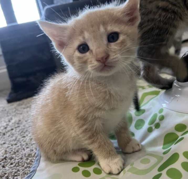 Photo of Marvin