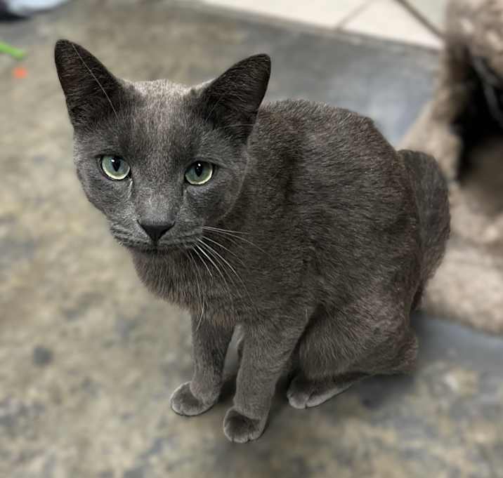 Photo of Captain