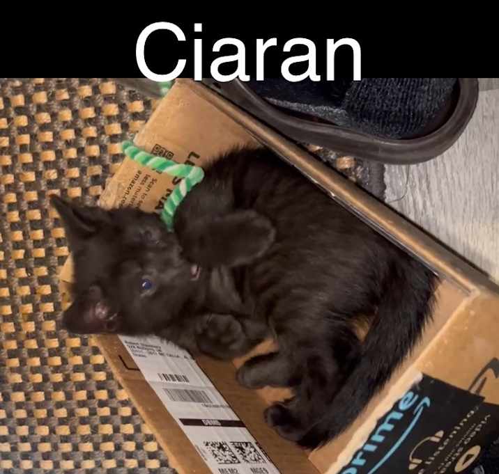 Photo of Ciaran "Kee-rahn
