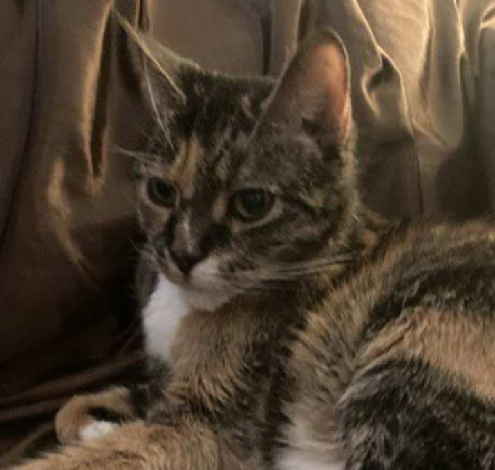 Photo of Peanut Butter