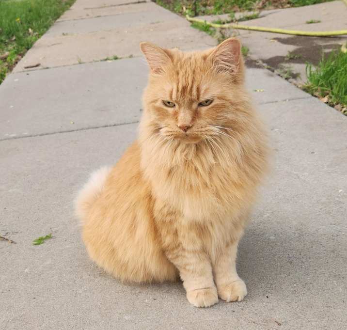 Photo of Mable