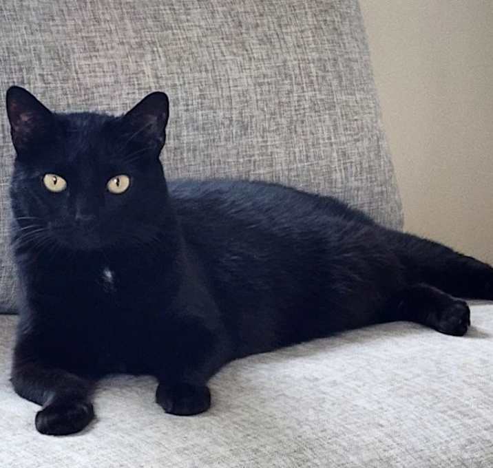 Photo of Nakya