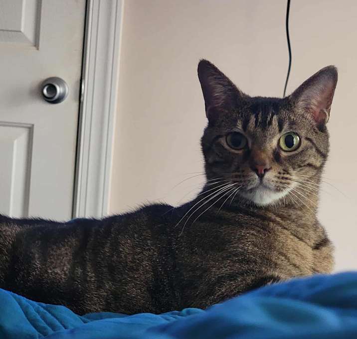 Photo of Mack