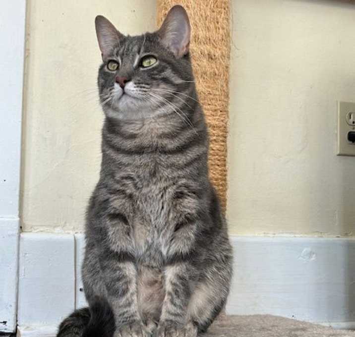 Photo of Edgar