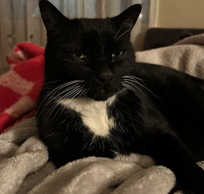 Photo of Jack