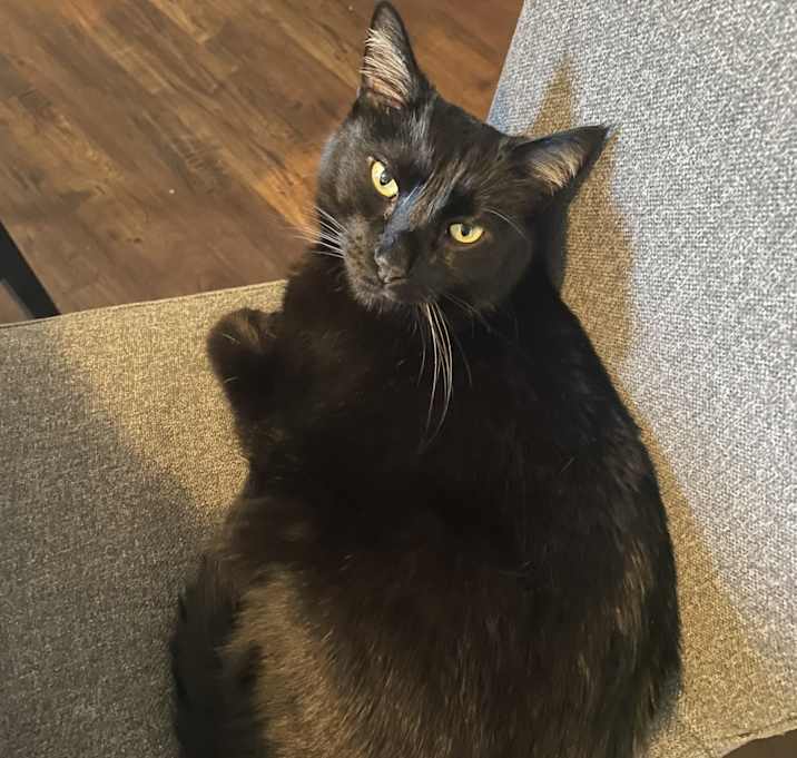 Photo of Tempest