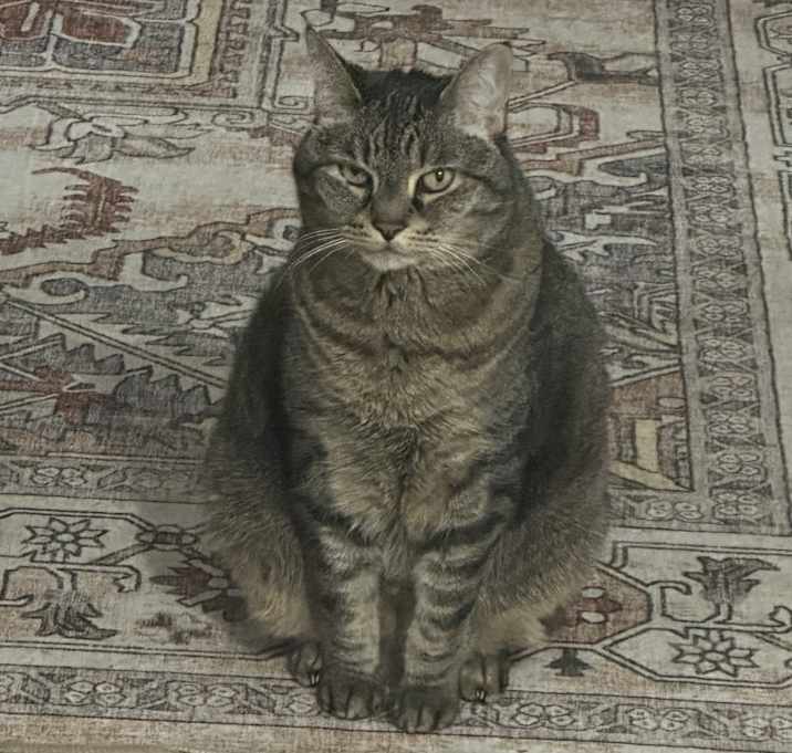 Photo of Vincent
