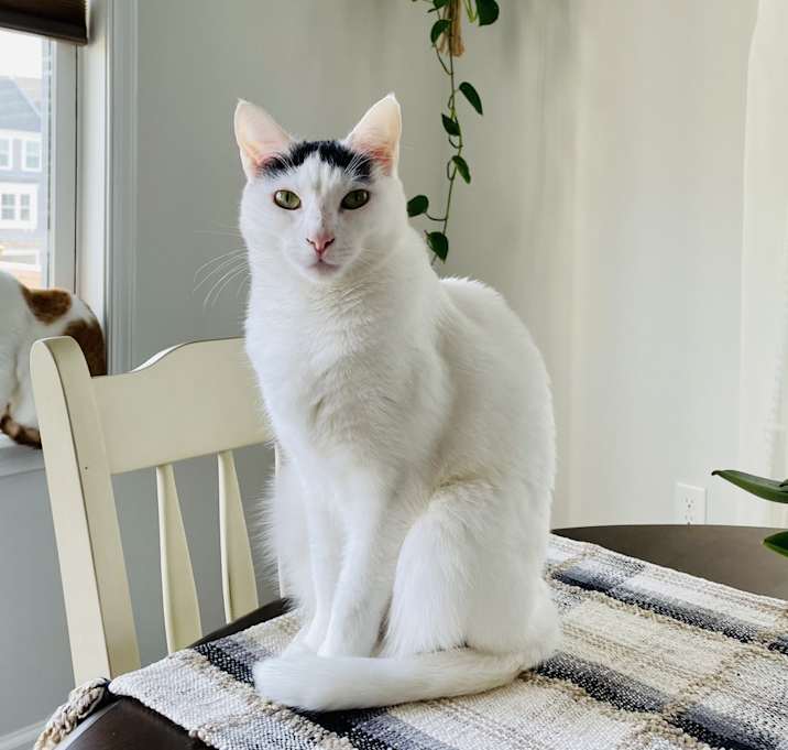 Photo of Wednesday