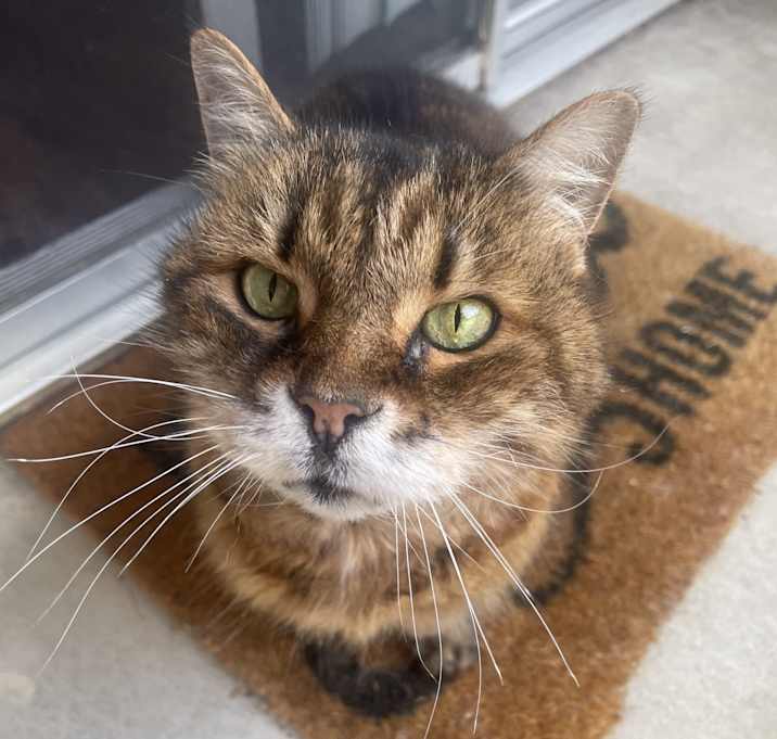 Photo of Daisy