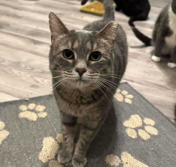 Photo of Daphne