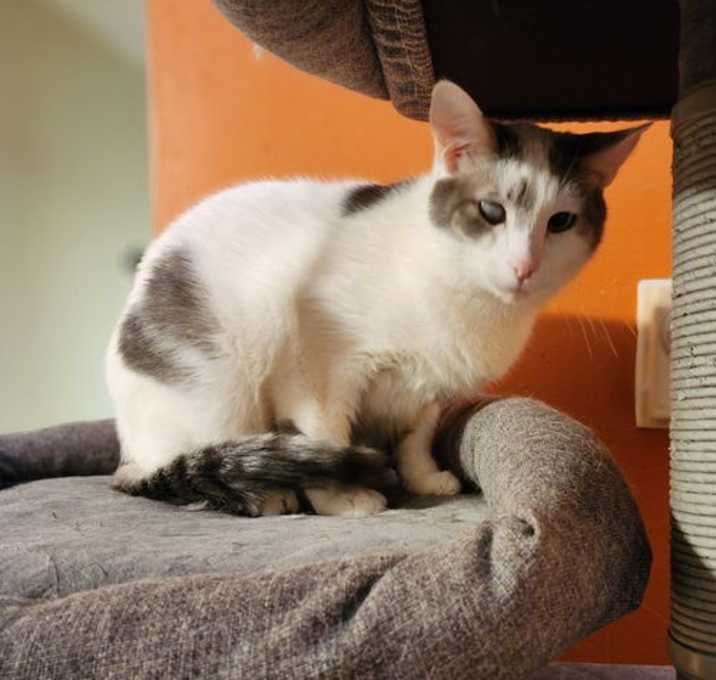 Photo of Curly