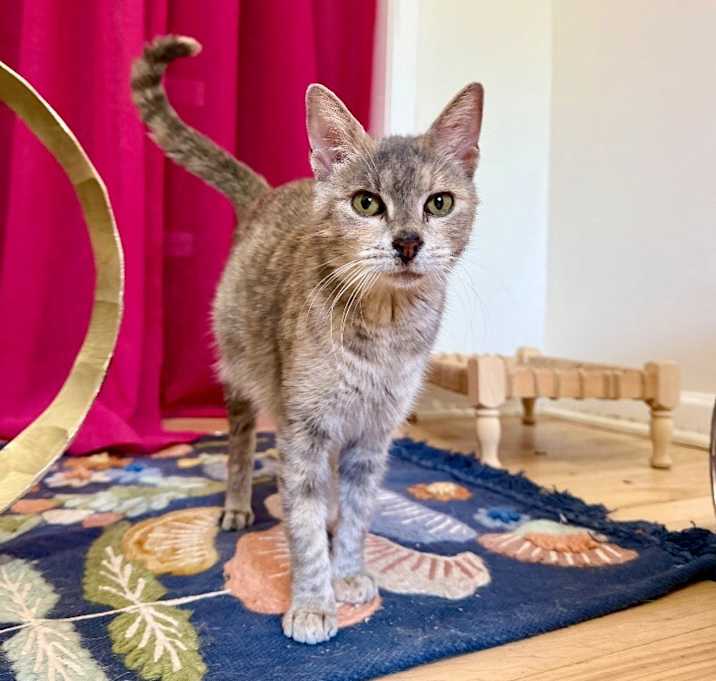 Photo of Little Jeanie