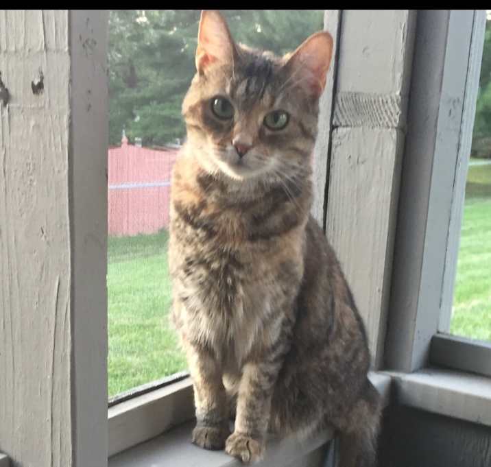 Photo of Sammie