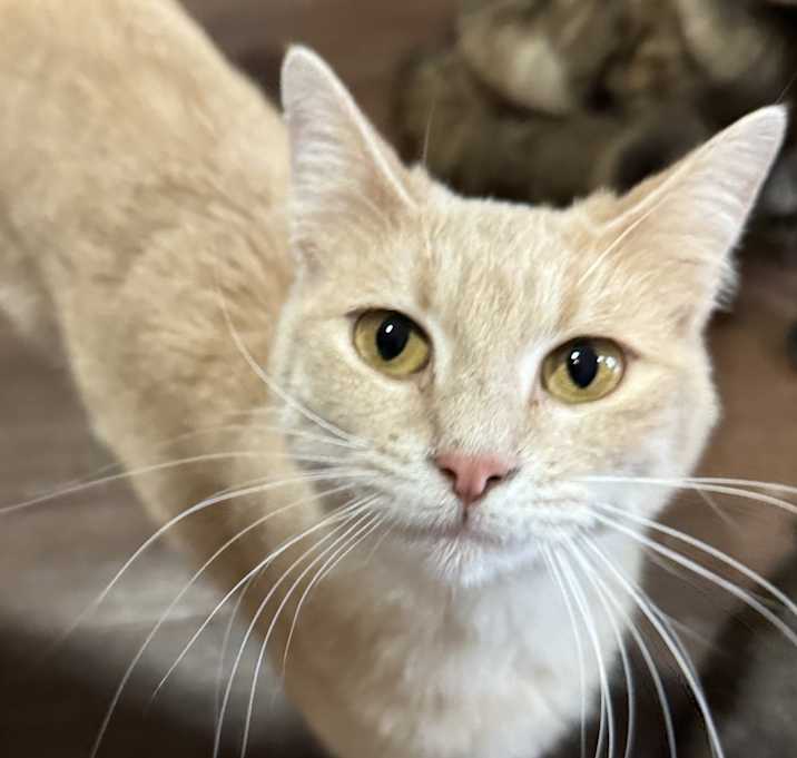Photo of Athena