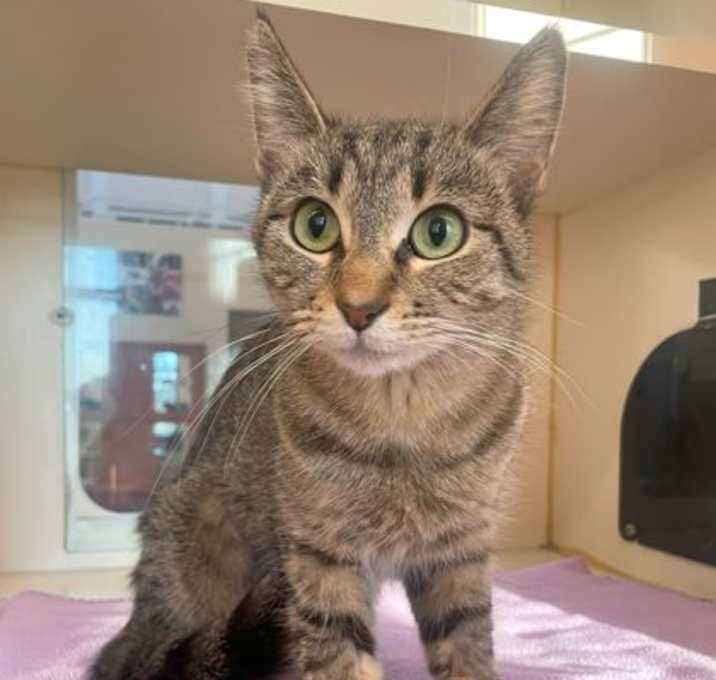 Photo of Pacha