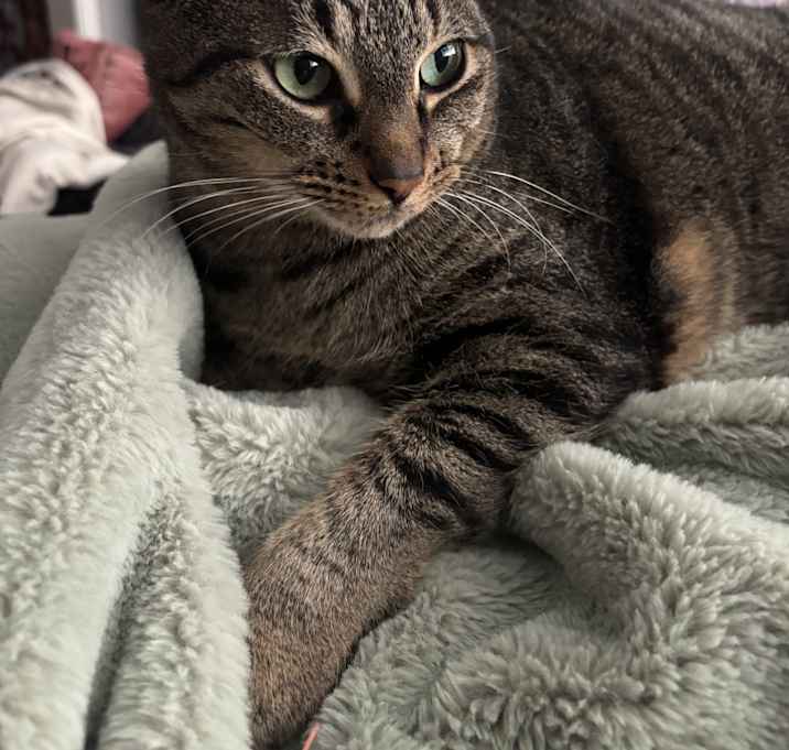 Photo of Missy