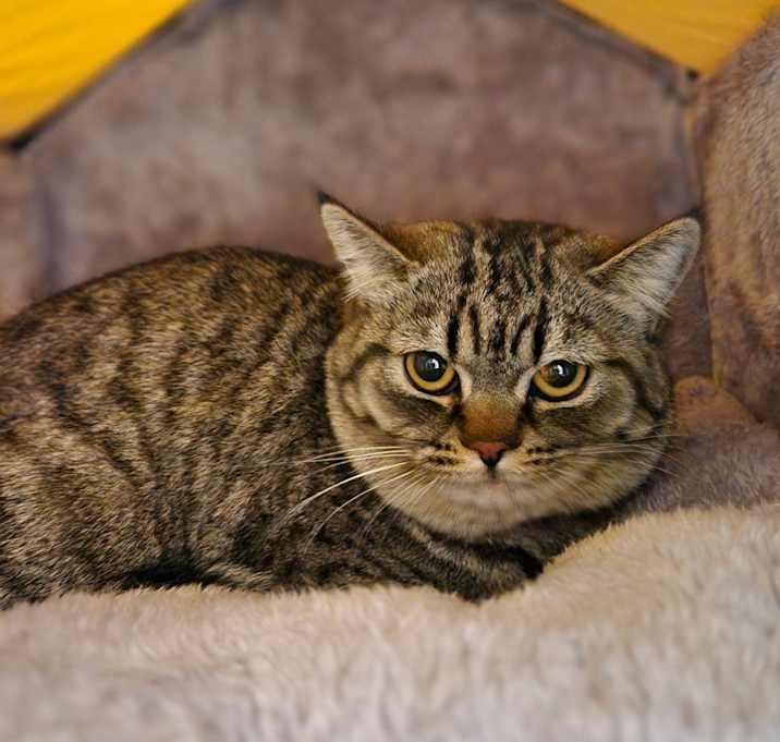 Photo of TSUKI