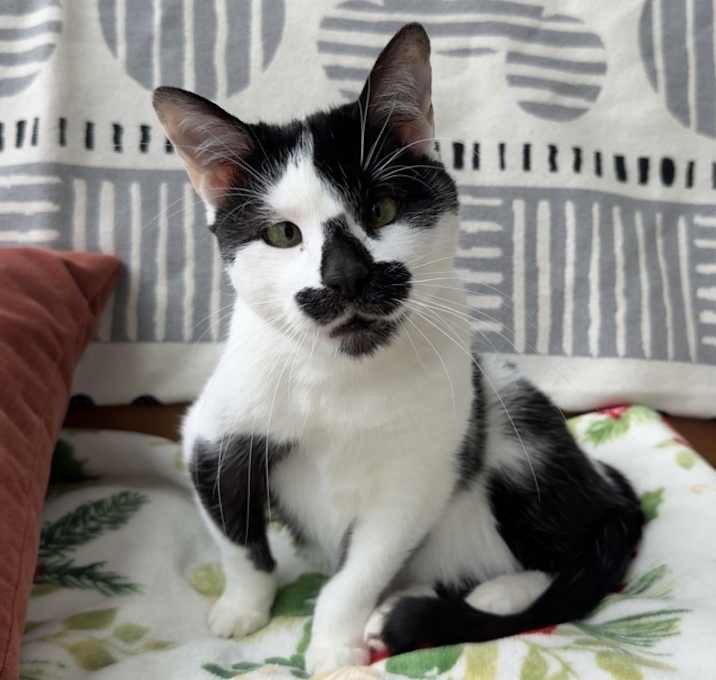 Photo of Leo