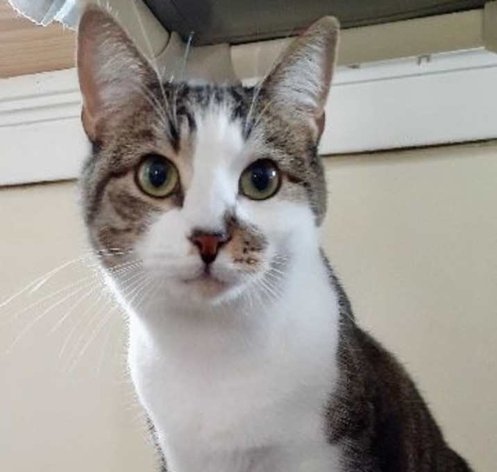 Photo of Dolly II
