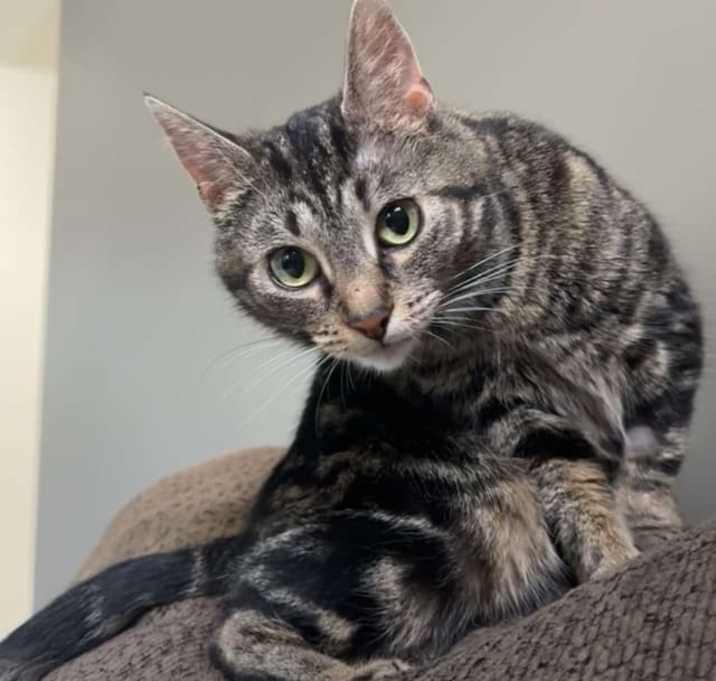 Photo of Ursula