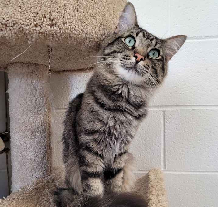 Photo of Otto