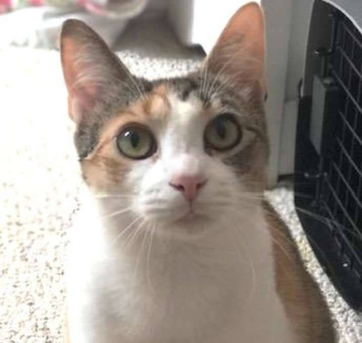 Photo of Debbie