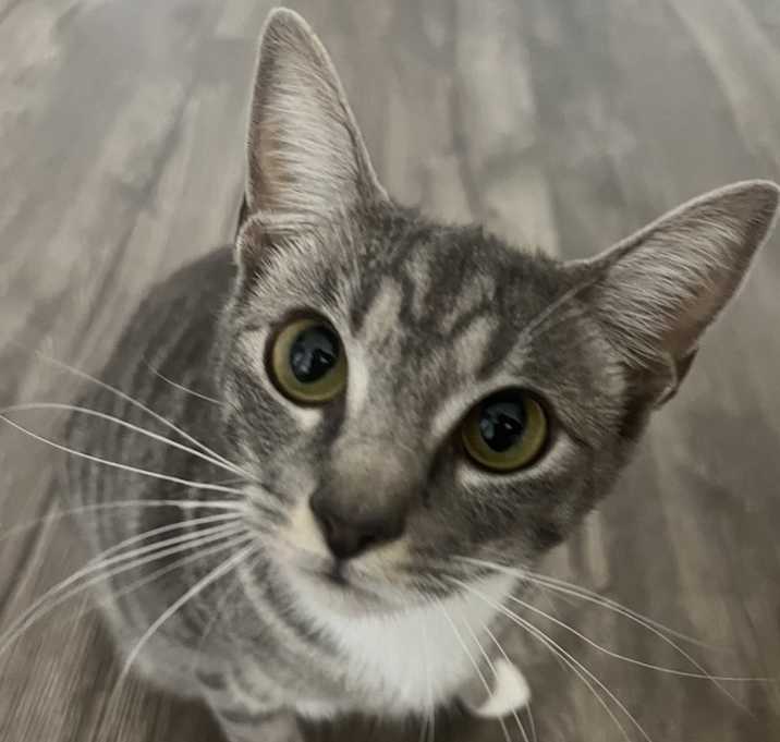 Photo of Luna