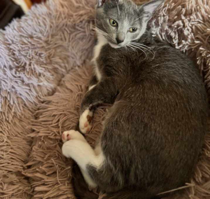 Photo of Galinda