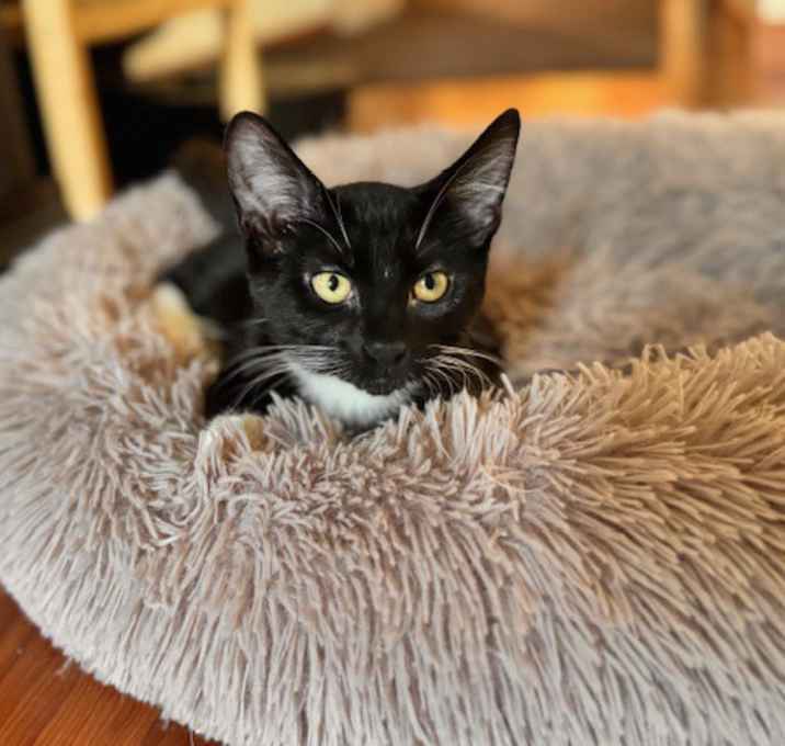 Photo of Nessarose