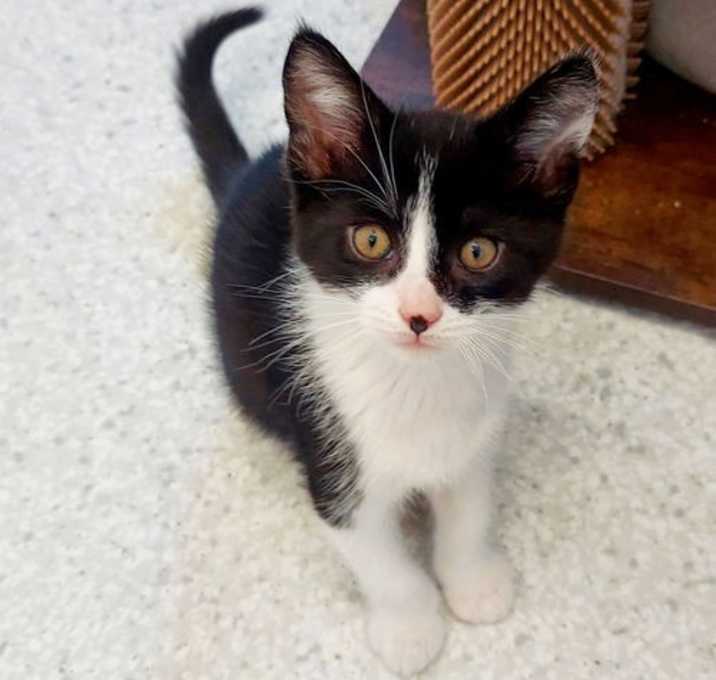 Photo of Alfred