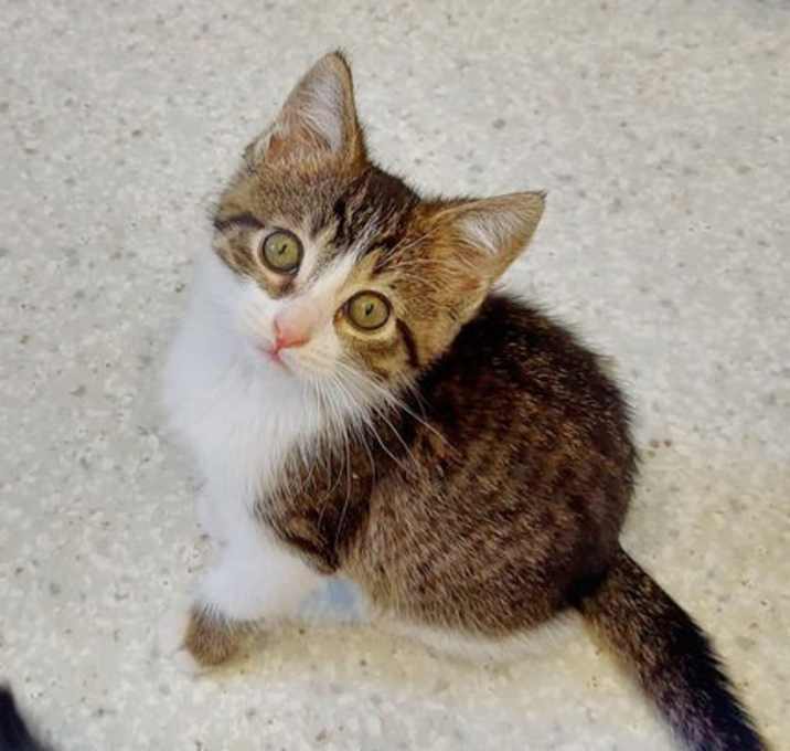 Photo of Ivy