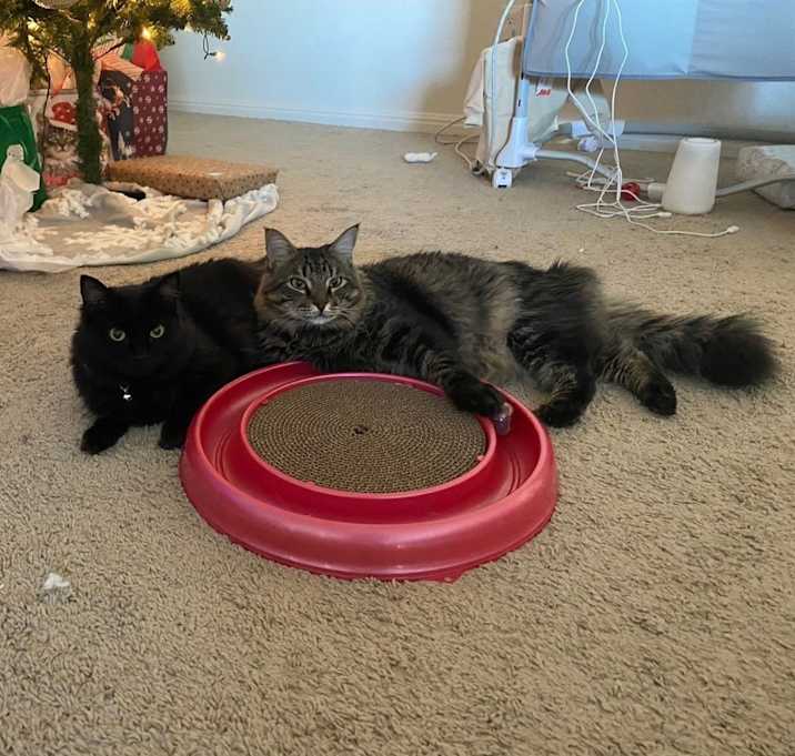 Photo of Lucy & Mr. Floor