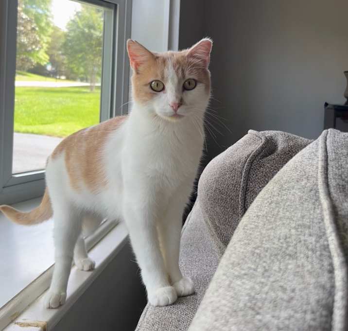 Photo of Breeze
