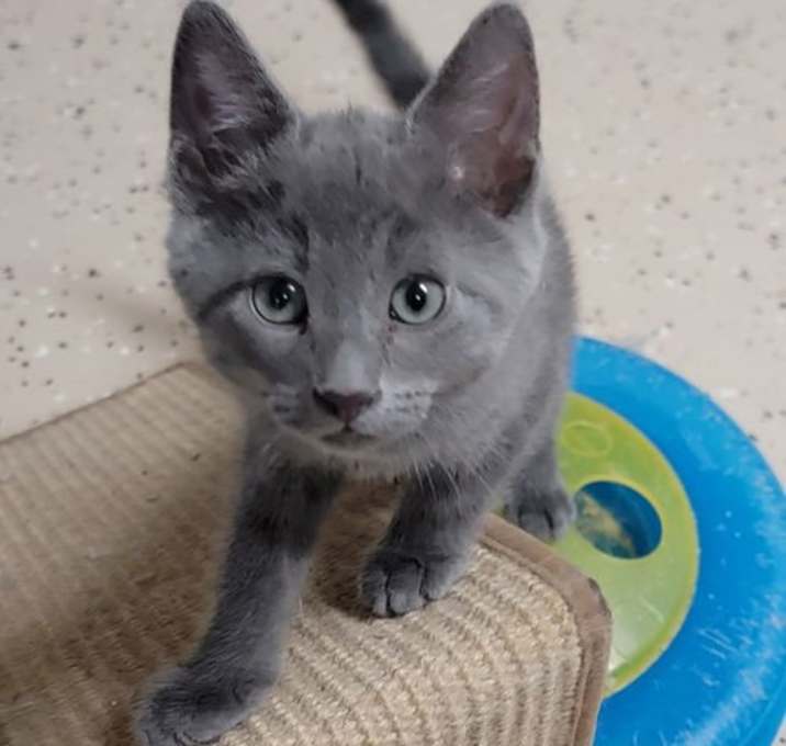 Photo of Asher