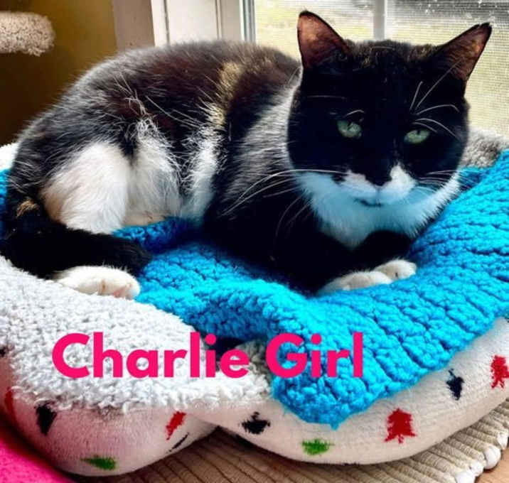 Photo of Charlie