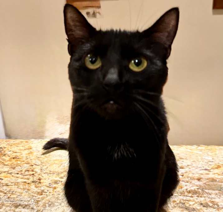 Photo of Valentina