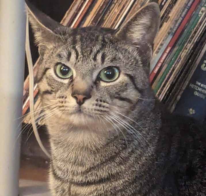 Photo of Boots