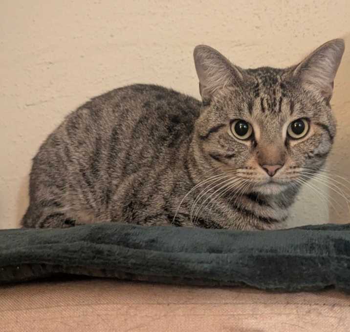 Photo of Socks